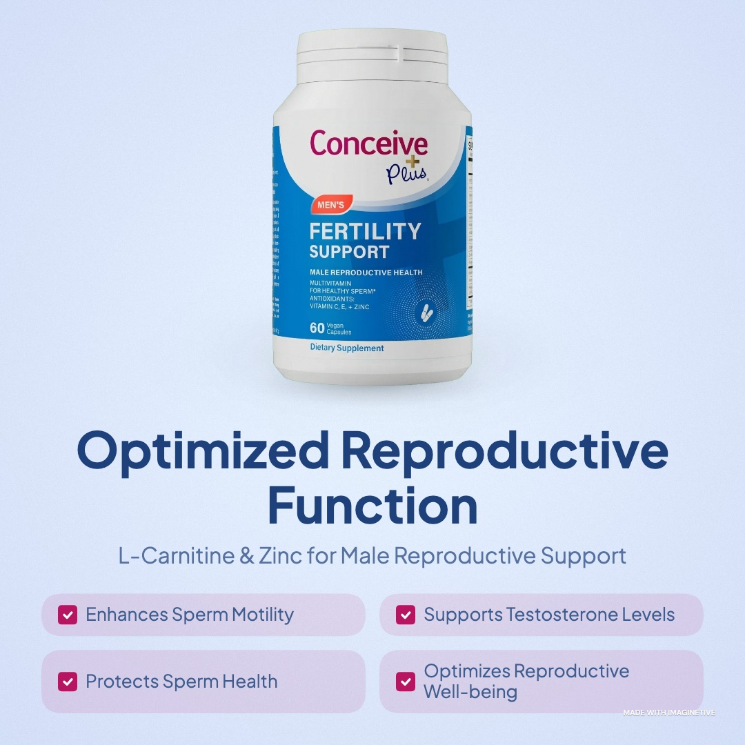 Male Fertility: Understanding Sperm Health and How to Improve It