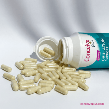 Endometriosis and Fertility: A Comprehensive Guide to Understanding Your Options - Conceive Plus® Asia