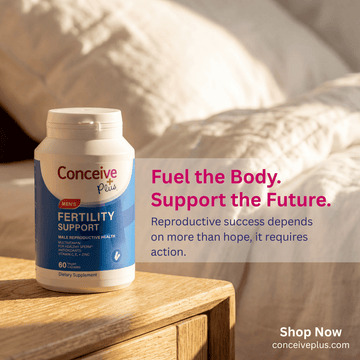 Fertility Myths Debunked: Separating Evidence-Based Facts from Common Misconceptions About Conception - Conceive Plus® Asia