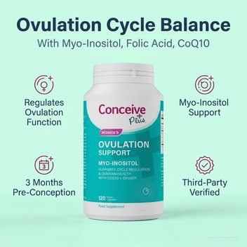 난임 검사: 생식 건강을 이해하기 위한 완벽 가이드 – Conceive Plus® Asia