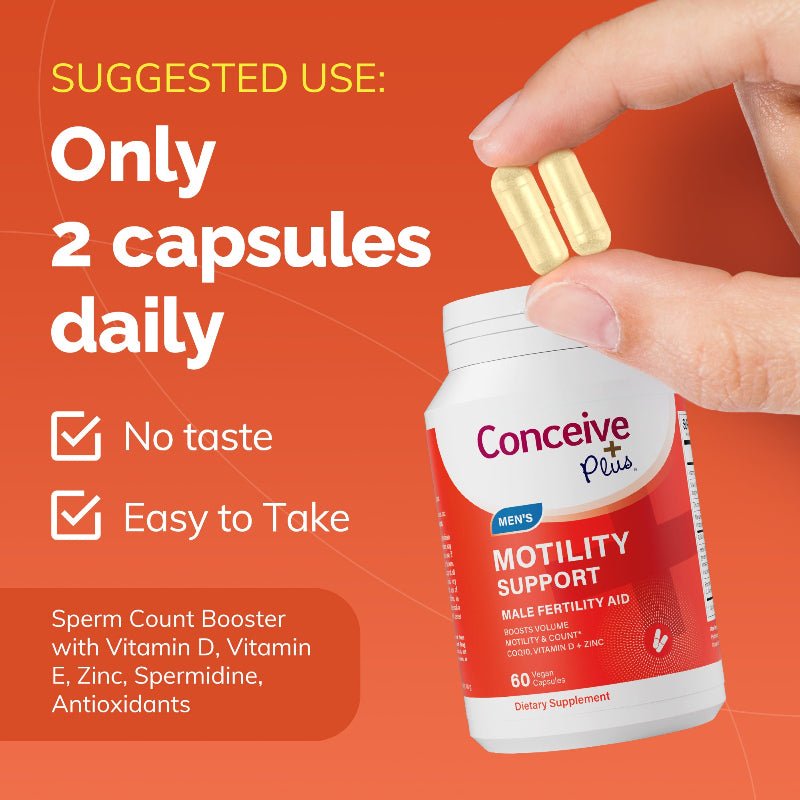 l carnitine for sperm count L-Carnitine is a Vital Male Fertility Natre l-carnitine and l-acetylcarnitine supplementation for